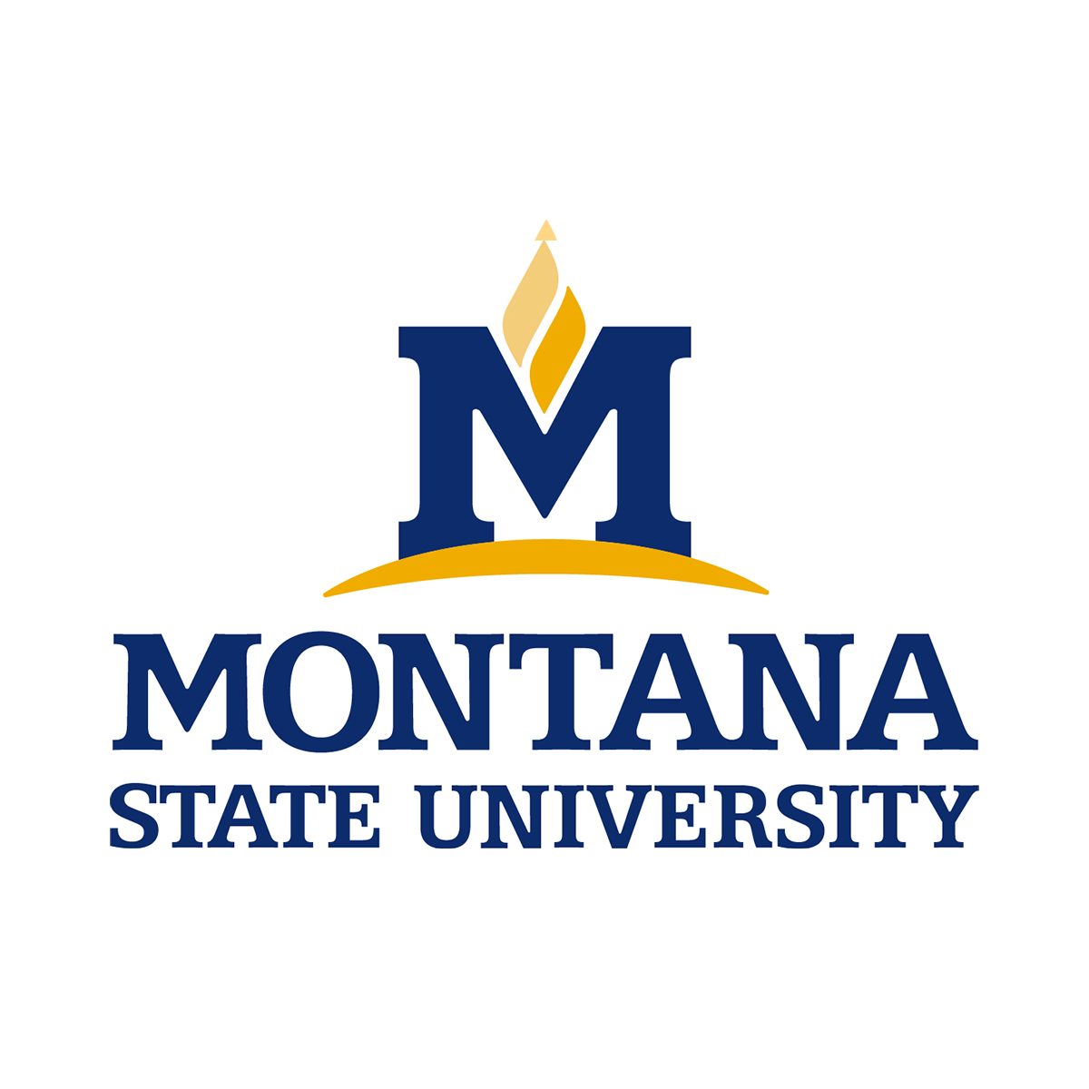 Montana State University@2x